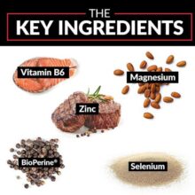 d8a2d8b3d9bed8a7d8b1d8aad8a7d8aa d8b1d988db8c d985d986db8cd8b2db8cd985 d981d988d8b1d8b3 d981d8a7daa9d8aad988d8b1 force factor zinc magnesium aspar 65a8622e85d52