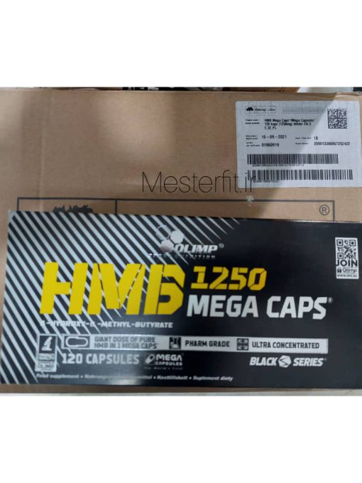 d8a7da86 d8a7d985 d8a8db8c 1250 d985daafd8a7 daa9d9bed8b3 d8a7d984db8cd985d9be 65a85afb9db2a