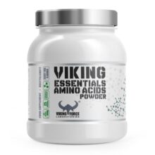 ای ای ای  وایکینگ فورس