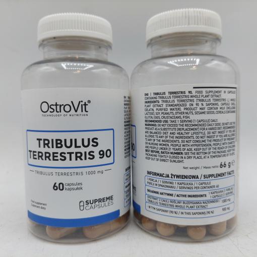 d8aad8b1db8cd8a8d988d984d988d8b3 90 d8a7d8b3d8aad8b1d988d988db8cd8aa 65a85ba81bfe9