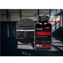 d8aad8b1db8cd8a8d988d984d988d8b3 d8a8d8a7d8afdb8c d8a7d8aadaa9 150 daa9d9bed8b3d988d984 body attack tribulus terrestris 2400 65a862cc11772