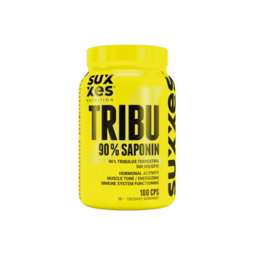d8aad8b1db8cd8a8d988d984d988d8b3 d8aad8b1d8b3d8aad8b1db8cd8b3 d8b3d8a7daa9d8b3 suxxes tribu 90 saponin 65a862534efdc