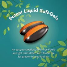 d8aad982d988db8cd8aa daa9d986d986d8afd987 d8aed988d8a7d8a8 d985d984d8a7d8aad988d986db8cd986 d8a7d8b1d988db8cd986 d986da86d8b1d8a7 65fb669a2a98a