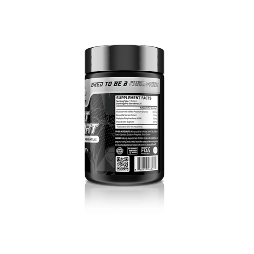 d8acd988db8cd986d8aa d8b3d8a7d9bed988d8b1d8aa daa9d988d8b1 da86d985d9bed8b3 core champs joint support 65a875a72d2bc