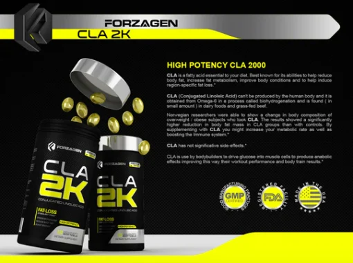 d8b3db8c d8a7db8c d8a7db8c d981d988d8b1d8b2d8a7da98d986 forzagen cla 2k 65a86df4a96a2