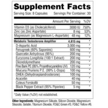 d985d8aad8a7 d8aad8b3d8aa d9bed8a7d8b1d8a7d987d988d8b1d985d988d986 d985d8aad8a7d8a8d988d984db8cdaa9 metabolic metatest 65a85d757b19a