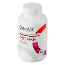 منیزیم و ویتامین ب 6 استرویت 90 عدد OstroVit Mg + B6 6654dc050d13e.png