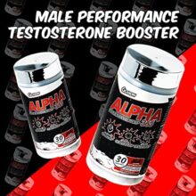 d985daa9d985d984 d8a2d984d981d8a7 365 daafd984daa9d8b3d988d986 65a8631439e3b