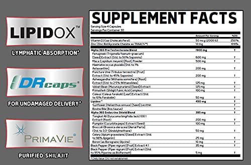 d985daa9d985d984 d8a2d984d981d8a7 365 daafd984daa9d8b3d988d986 65a8631534ce2