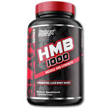 d985daa9d985d984 d8a7da86 d8a7d985 d8a8db8c d986d8a7d8aad8b1daa9d8b3 65a85a8cacdec