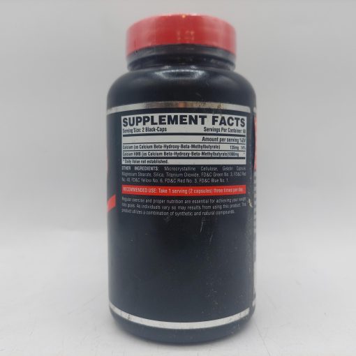 d985daa9d985d984 d8a7da86 d8a7d985 d8a8db8c d986d8a7d8aad8b1daa9d8b3 65a85a91d0790