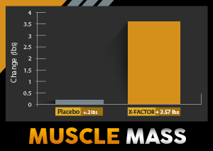 d985daa9d985d984 d8a7db8cdaa9d8b3 d981d8a7daa9d8aad988d8b1 d985d988d984daa9d988d984d8a7d8b1 d986d988d8aad8b1db8cd8b4d986 65a87944e3fac