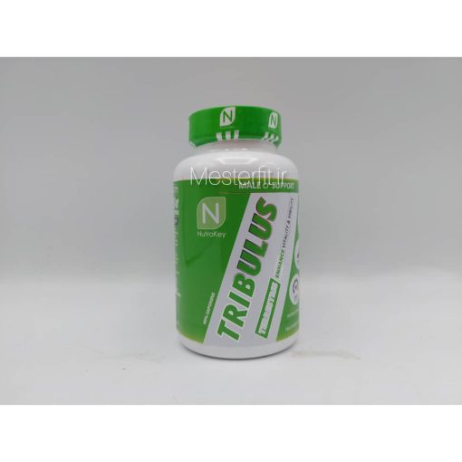 d985daa9d985d984 d8aad8b1db8cd8a8d988d984d988d8b3 d986d988d8aad8b1d8a7daa9db8c 65a8608690338