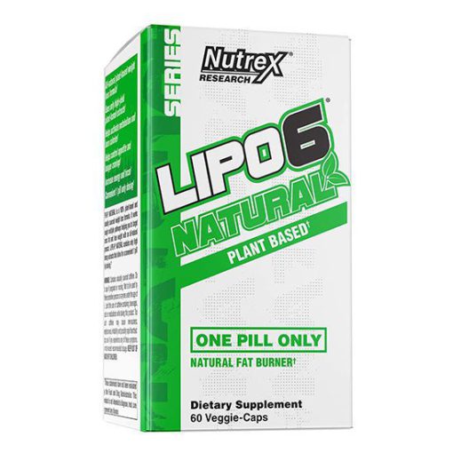 d985daa9d985d984 d984db8cd9bed988 6 d986da86d8b1d8a7d984 d986d8a7d8aad8b1daa9d8b3 65a866d0590aa