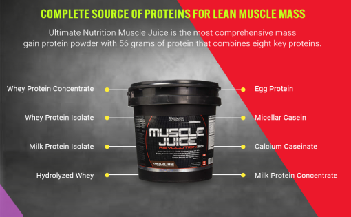 d985daa9d985d984 daafdb8cd986d8b1 d985d8a7d8b3d984 d8acd988db8cd8b2 d8b4d8b1daa9d8aa d8a7d984d8aadb8cd985db8cd8aa 65a85e562d81f