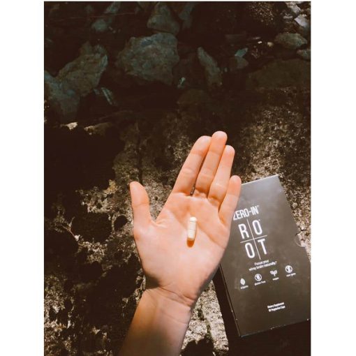 d986d988d8aad8b1d988d9bedb8cdaa9 d8b2db8cd8b1d988 d8a7db8cd986 d8a8d8a7d8afdb8c d8b1d988d8aa the root zero in 65a85b231a7c6