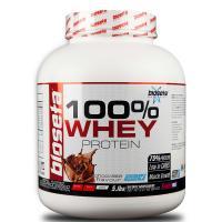 وی پروتئین ۱۰۰٪ بایوستا