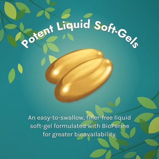 d988db8cd8aad8a7d985db8cd986 d3 d988 k2 d988 d8b9d8b5d8a7d8b1d987 d8b2d8b1d8afda86d988d8a8d987 d8a7d8b1d988db8cd986 d986da86d8b1d8a7d984 65fb6a580183a