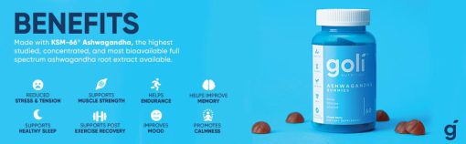 d9bed8a7d8b3d8aadb8cd984 d8a2d8b4d988d8a7daafd8a7d986d8afd8a7 daafd984db8c d986d988d8aad8b1db8cd8b4d986 65a85ec4ea2ae