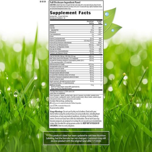 d9bed8a7daa9 daa9d986d986d8afd987 d988 d8b3d985 d8b2d8afd8a7db8c daa9d8a8d8af d8a7d8b1d988db8cd986 d986da86d8b1d8a7d984d8b2 60 d8b9d8af 65fb68e218c1f