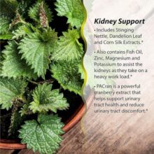 d9bed8a7daa9 daa9d986d986d8afd987 d988 d8b3d985 d8b2d8afd8a7db8c daa9d8a8d8af d8a7d8b1d988db8cd986 d986da86d8b1d8a7d984d8b2 60 d8b9d8af 65fb68e33f124