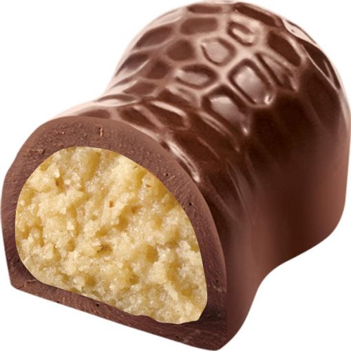 پروتئین بیتس بادی اتک 50 گرم BODY ATTACK PROTEIN BITES 6686e7c6c8053.jpeg