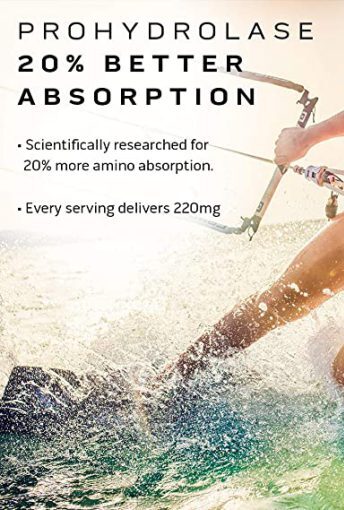 d9bed8b1d988d8aad8a6db8cd986 d988db8c d8a7db8cd8b2d988d984d987 daa9d984db8cd8b1 d985d8a7d8b3d984 d8aadaa9 65a86799bcdf3 e1706192128612