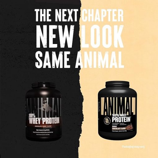 d9bed988d8afd8b1 d9bed8b1d988d8aad8a6db8cd986 d988db8c d8a7d986db8cd985d8a7d984 animal 100 whey protein powder 65fb667af16c9