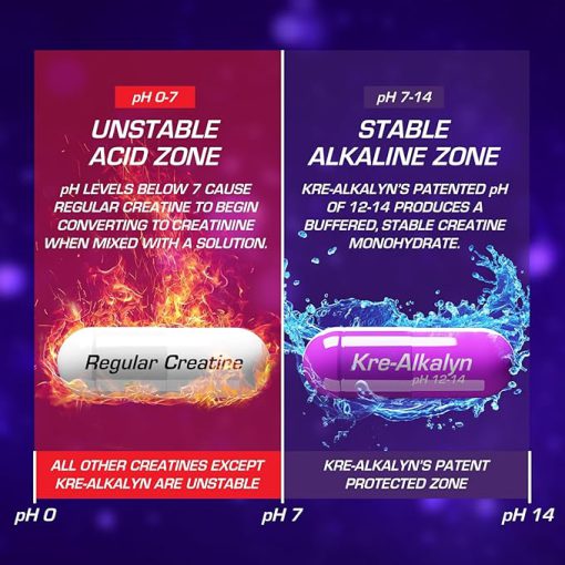 کراتین مونوهیدرات کری آلکالین ای اف ایکس اسپرت EFX Sports 662d569bafb8c.jpeg