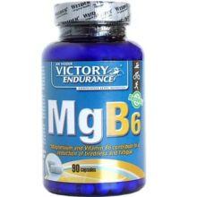کپسول ویتامین و مینرال ویکتوری 90 عدد VICTORY ENDURANCE MGB6