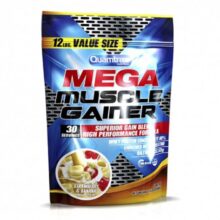 گینر مس کوامتراکس Quamtrax Mega Muscle Gainer