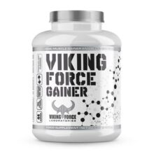 گینر وایکینگ فورس 4 کیلویی